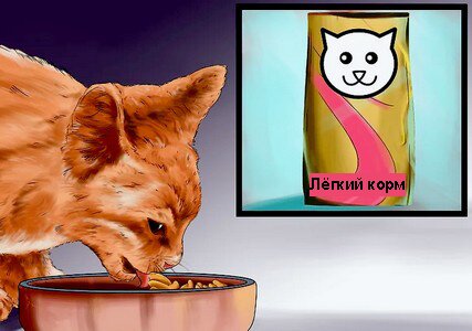 zhir-v-korme жир в корме